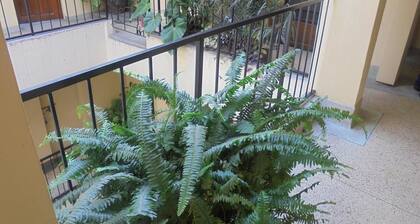 New Swanga Guest House