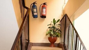 A carpeted staircase with wooden handrails and a potted plant at the top. - New Swanga Guest House (Nairobi)