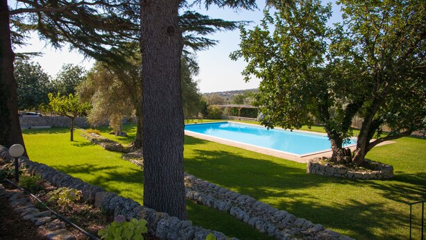 A swimming pool surrounded by a stone border, with trees and a grassy area in the foreground. - Agriturismo Borgo degli Ulivi (Palazzolo Acreide)