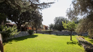 Vista desde la propiedad