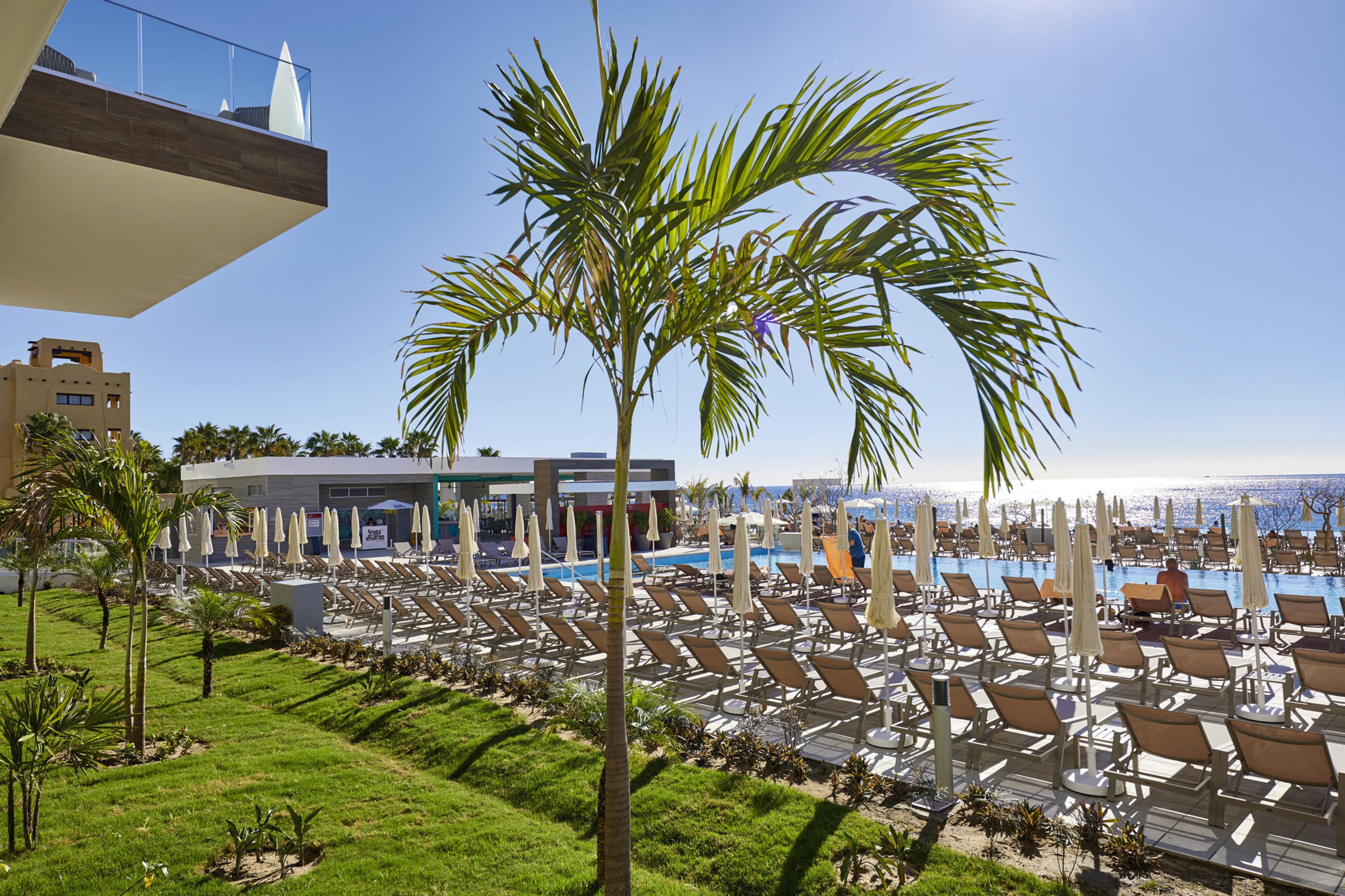 A resort with a pool area, lounge chairs, umbrellas, and palm trees.