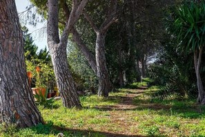 A pathway through a wooded area with trees and greenery. - Motel - Hotel Nautico Pozzallo (Pozzallo)