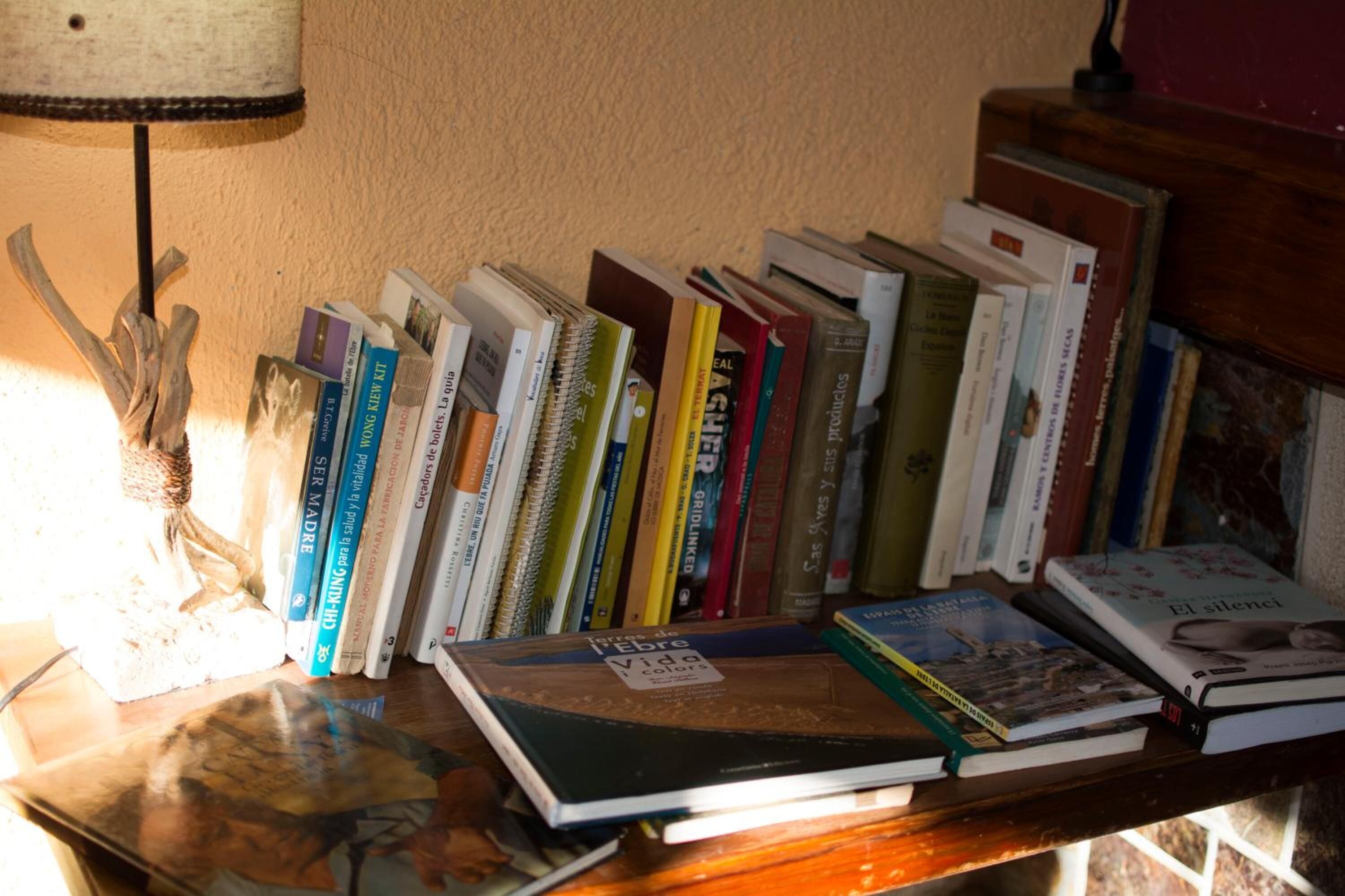 Una estantería con varios libros y una lámpara.