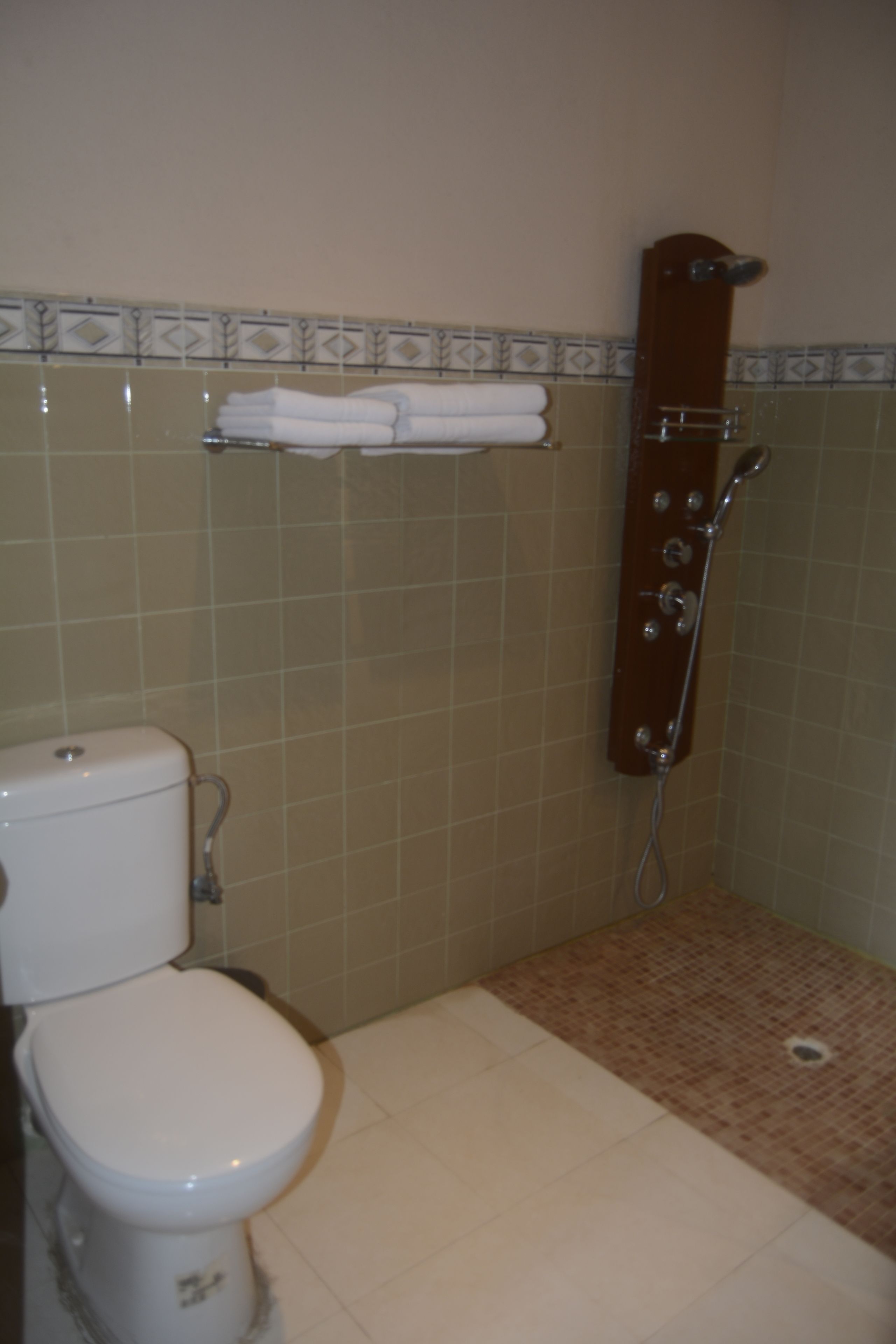 A bathroom with a toilet, a shower, and a towel rack.