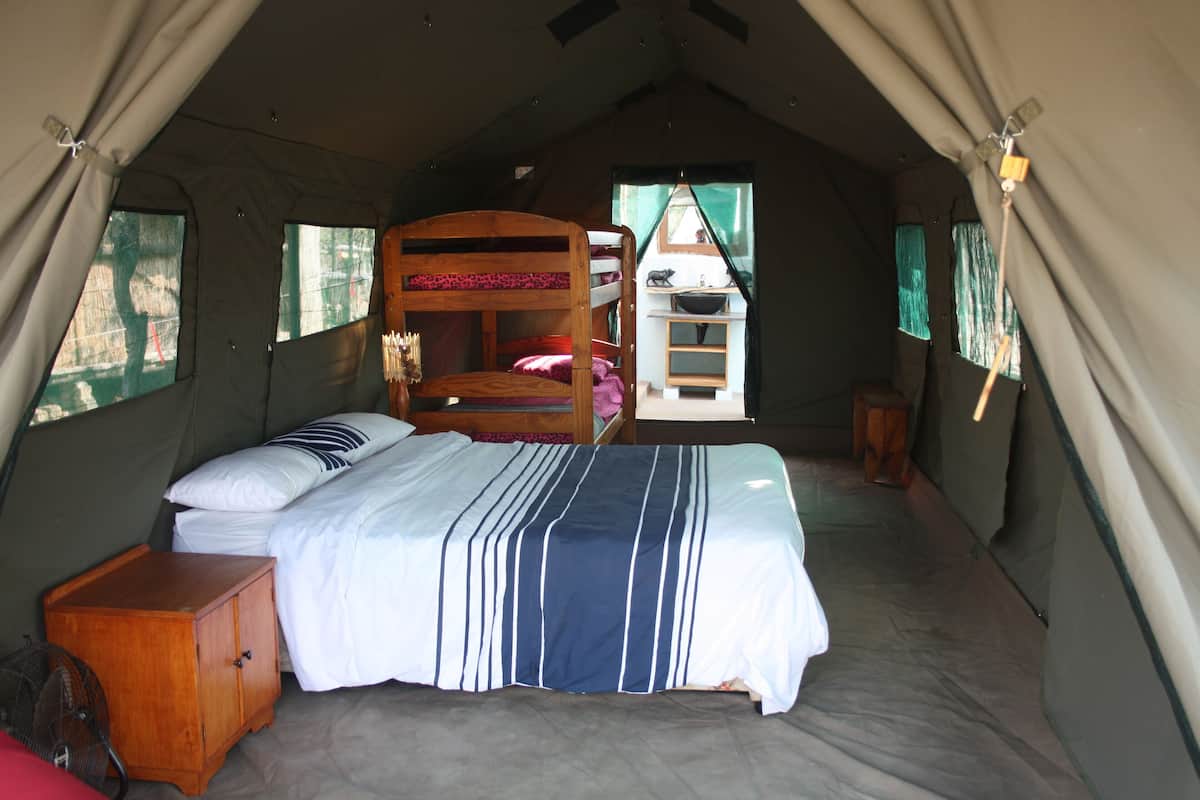 A tented accommodation with a bunk bed, a wooden cabinet, and a small sink.