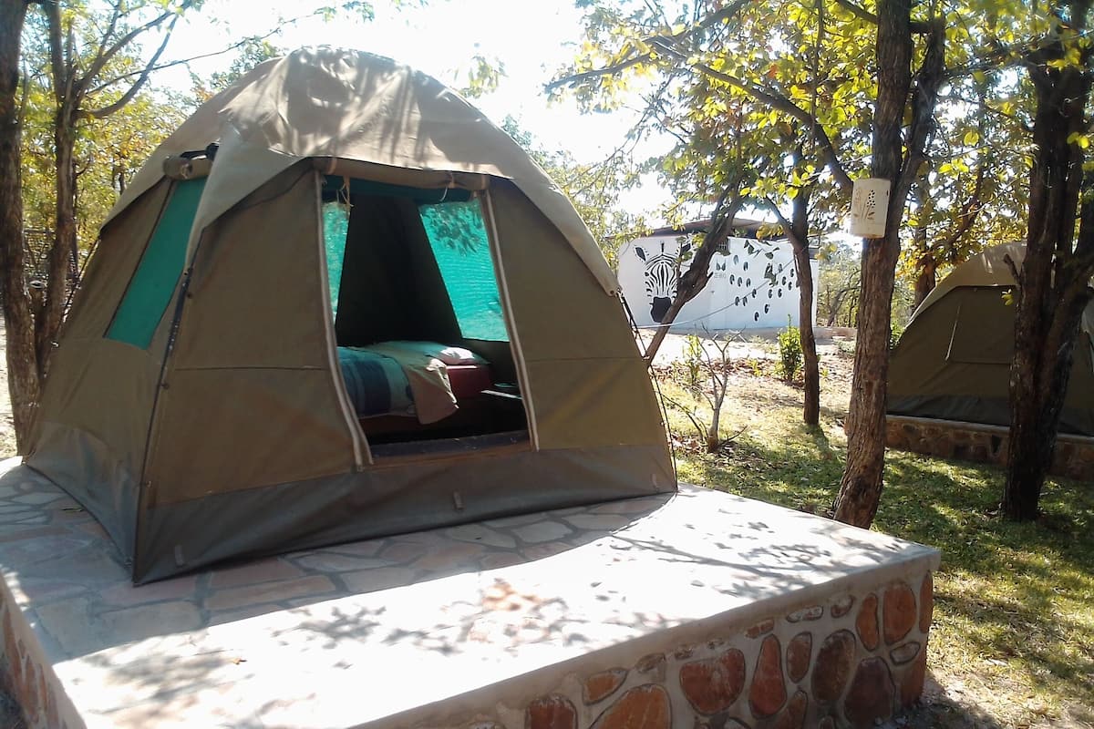 A tent with a stone platform, a bed inside, and a tree in the background.