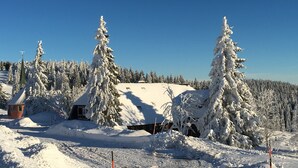 A snow-covered landscape with a church and a building surrounded by snow-laden trees. - Berggasthaus Kandelhof (Simonswald)