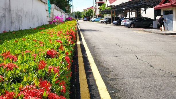 A street lined with colorful flowers and buildings with red roofs. - KK City HomeSuite at KK City Center 2 (Kota Kinabalu)