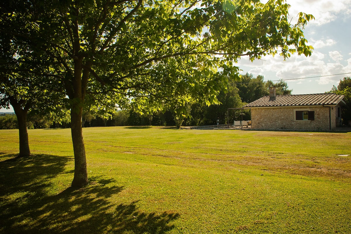 Familie appartement | Uitzicht op de tuin