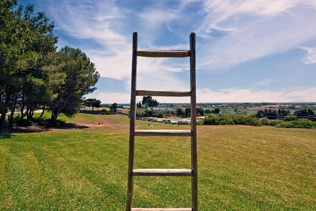 A wooden ladder in a grassy field with trees and a distant landscape.