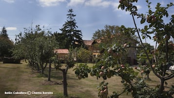 Khuôn viên nơi lưu trú