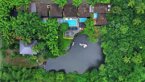 Vista aérea de una zona residencial con casas, una piscina y un estanque rodeado de abundante vegetación.