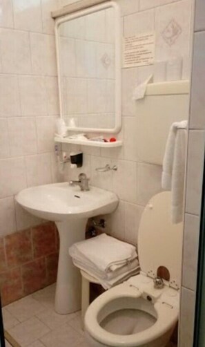 Shower, free toiletries, hair dryer, bidet