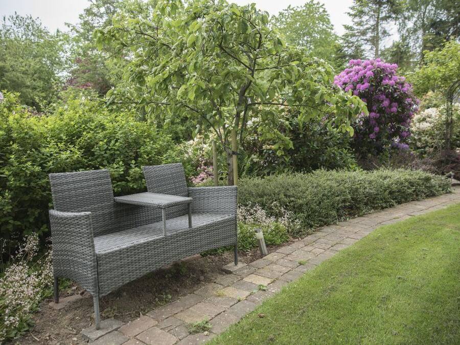 Un jardín con un banco de mimbre, rodeado de diversas plantas y árboles.