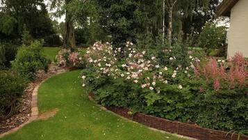 Un jardín con un sendero curvo, abundante vegetación y plantas florecientes.