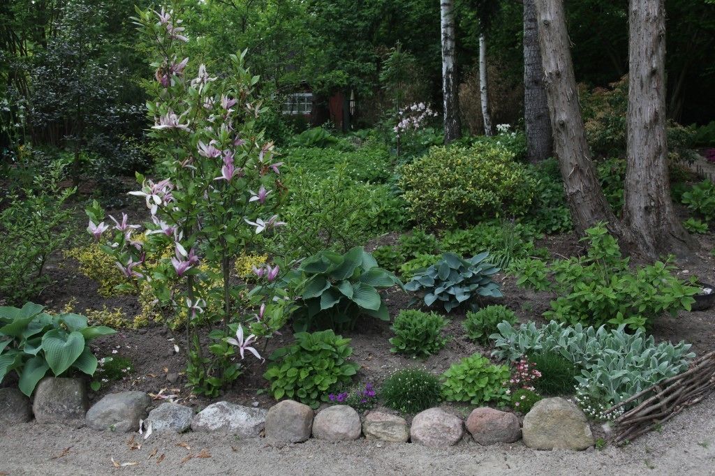 A garden with various plants and trees, a stone border, and a wooden fence in the background.
