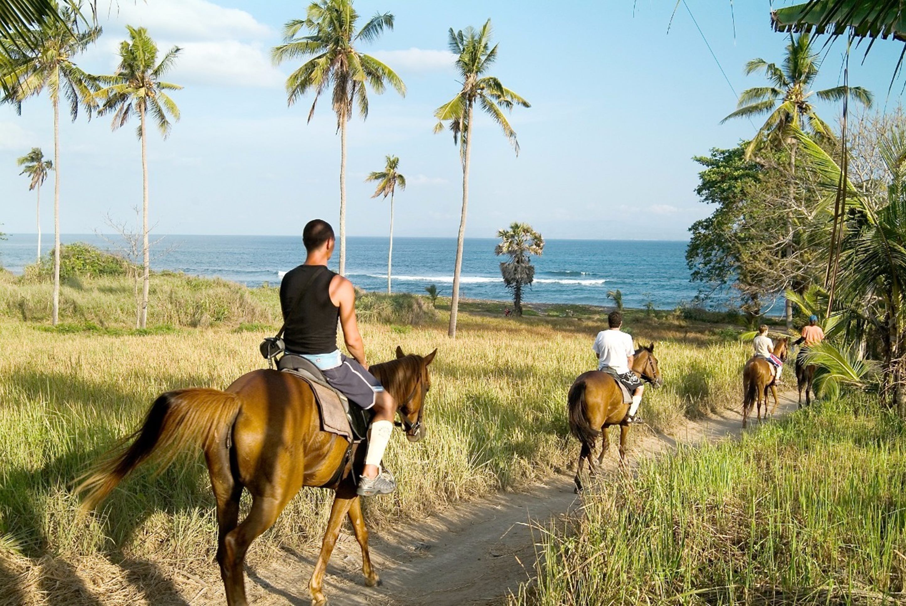 A pathway with people riding horses towards a beach with palm trees and ocean in the background.