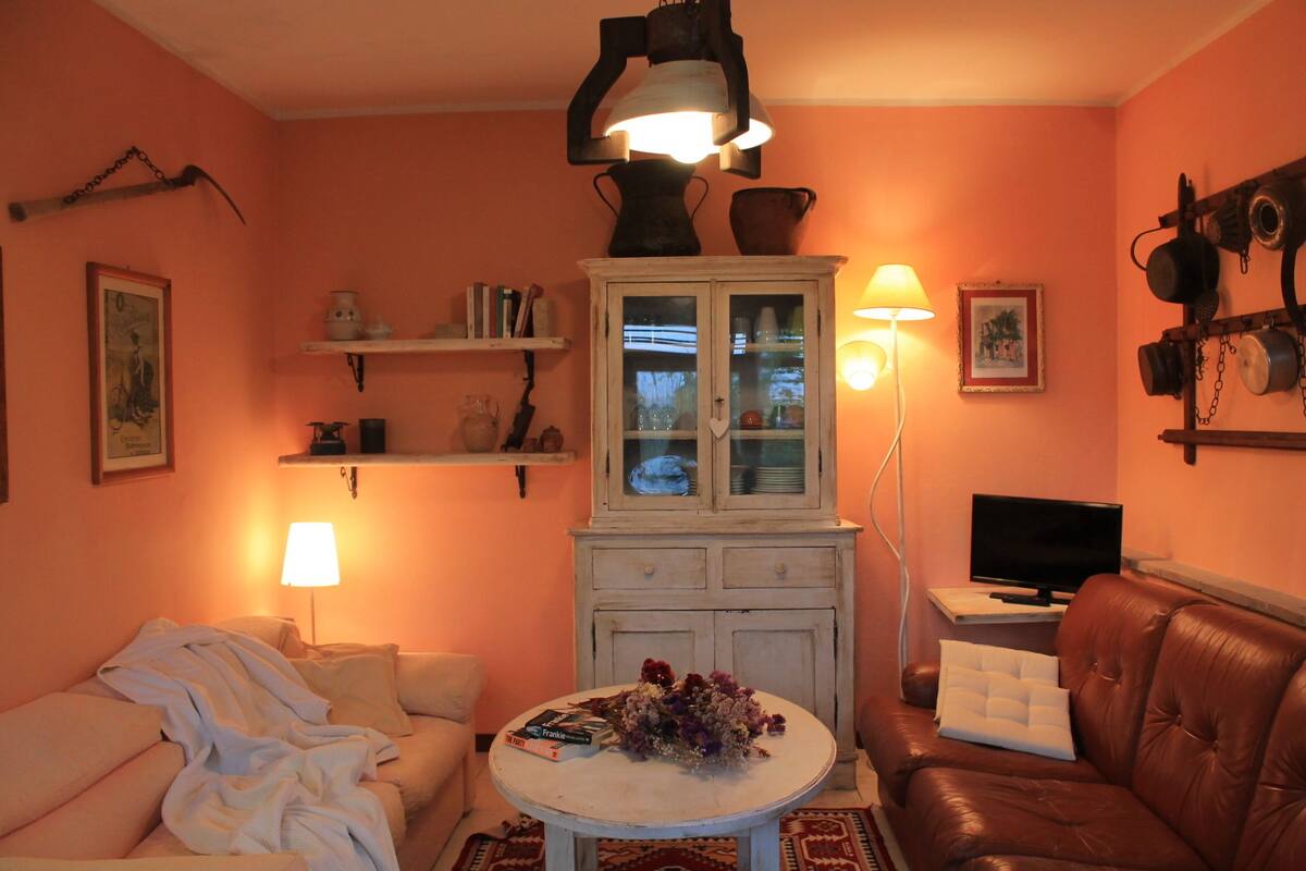 Family House, 2 Bedrooms, 2 Bathrooms, Annex Building | Living area