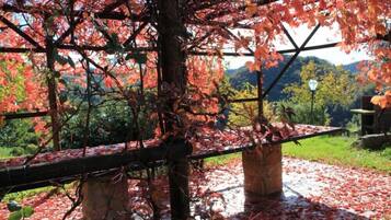 Gazebo