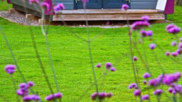 Standard Room, Shared Bathroom, Garden View (Eco-Pod) | Bahagian luar