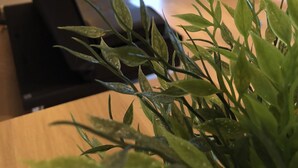 未分類的圖片,第 5 張,共 16 張,按鈕