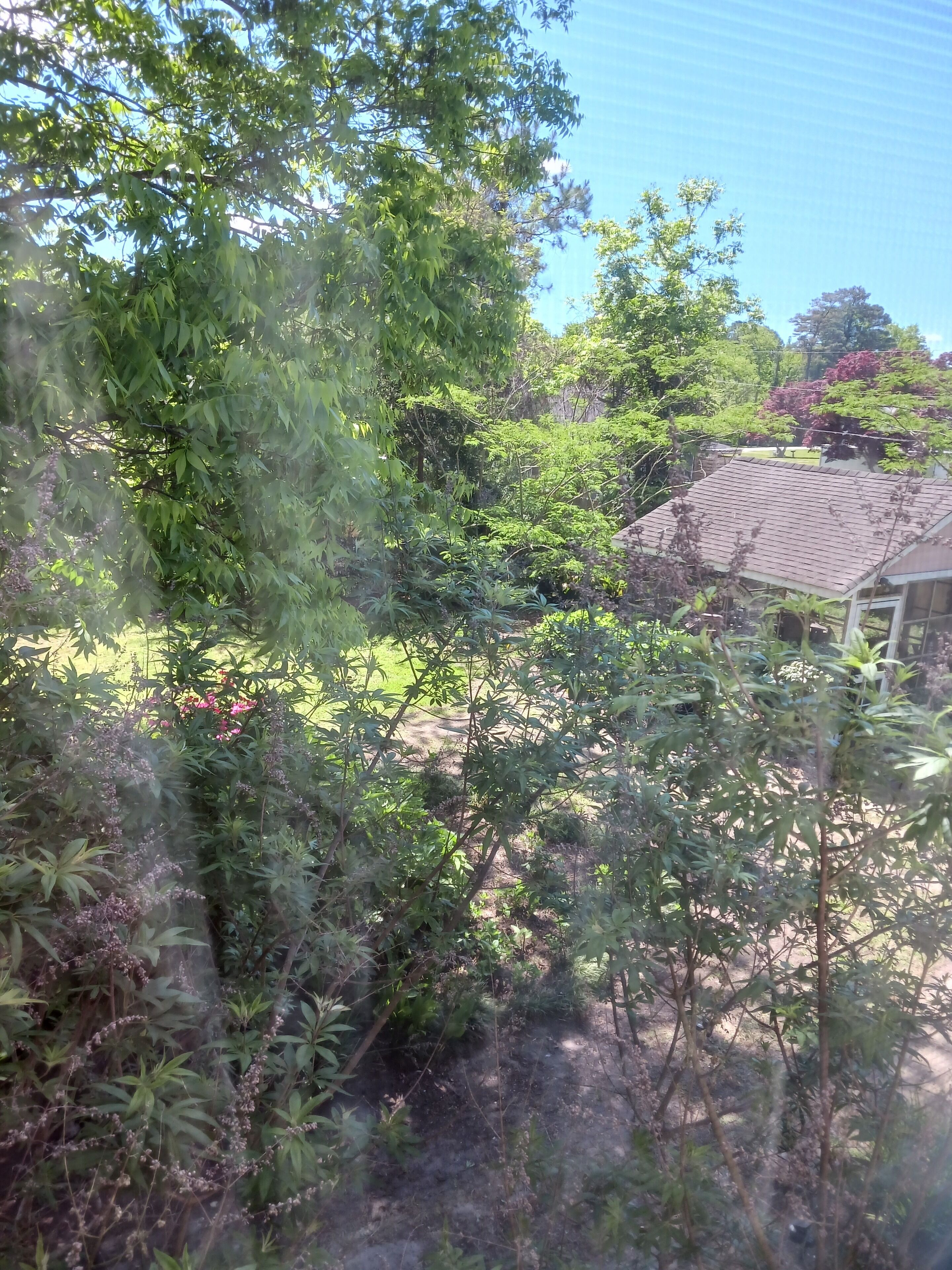 Classic-Suite, 1 Queen-Bett, Gartenblick