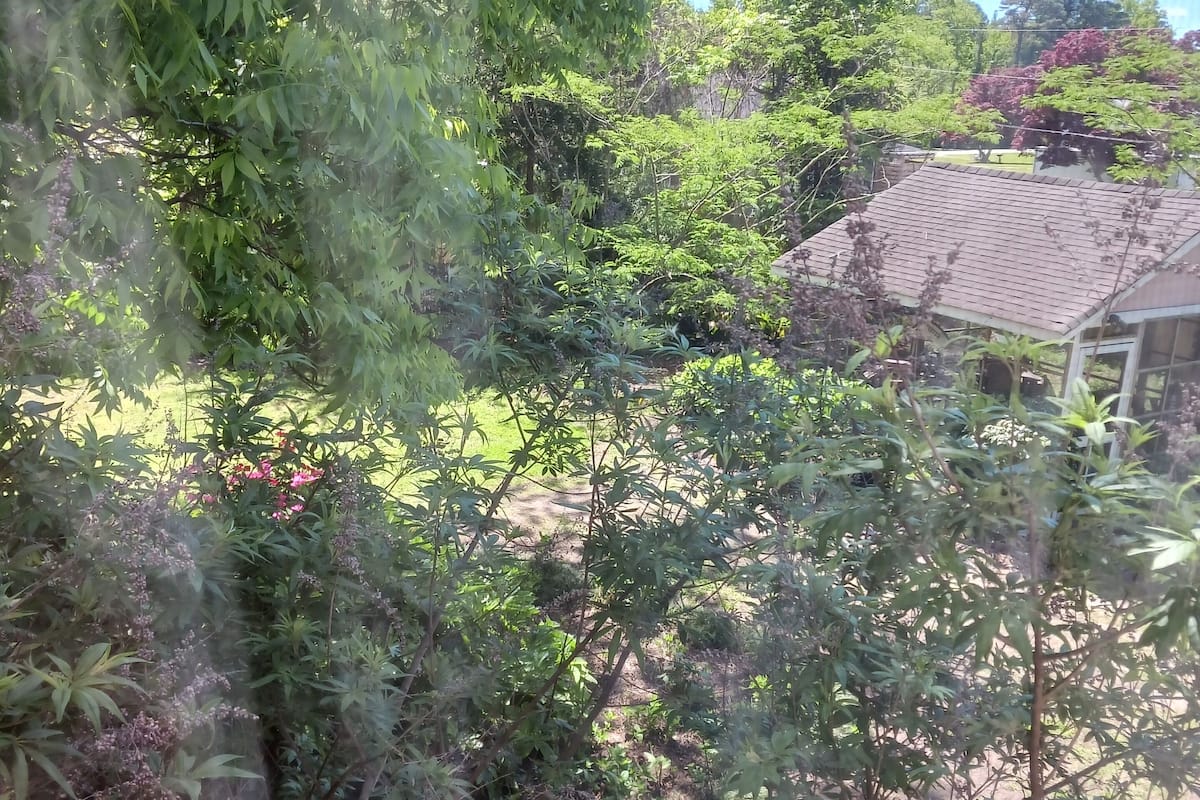 Willie's Hideaway Suite