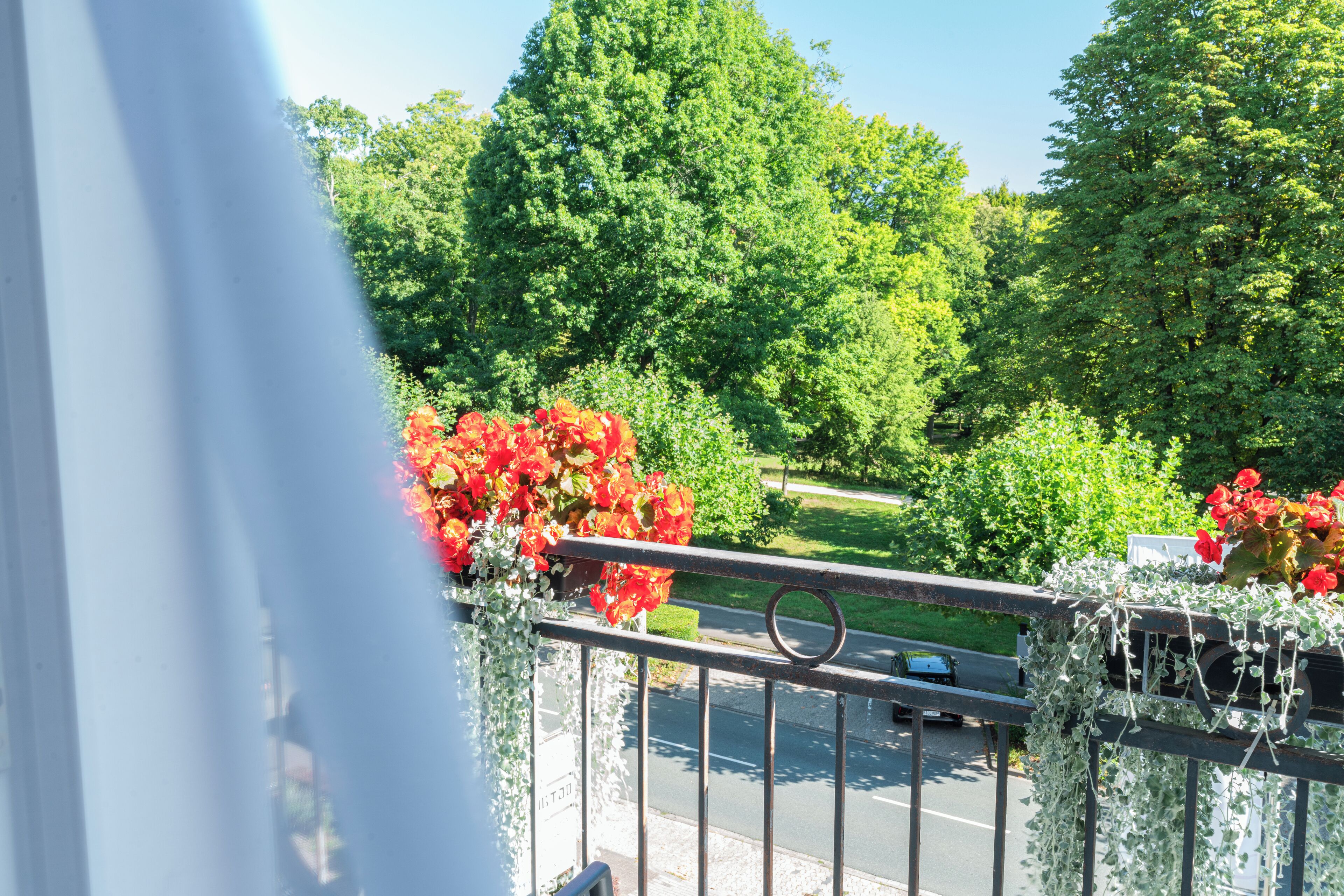 Un balcon avec des balustrades en métal, une vue sur la rue et une végétation luxuriante en arrière-plan.