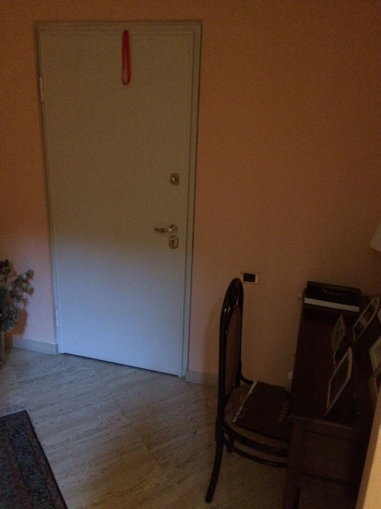 A room with a closed door, a chair, a small table, and a plant.