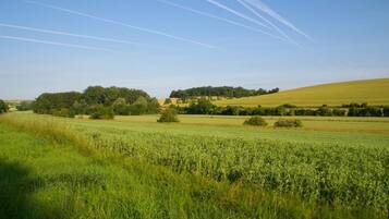 A rural landscape with fields, trees, and a hill in the distance.