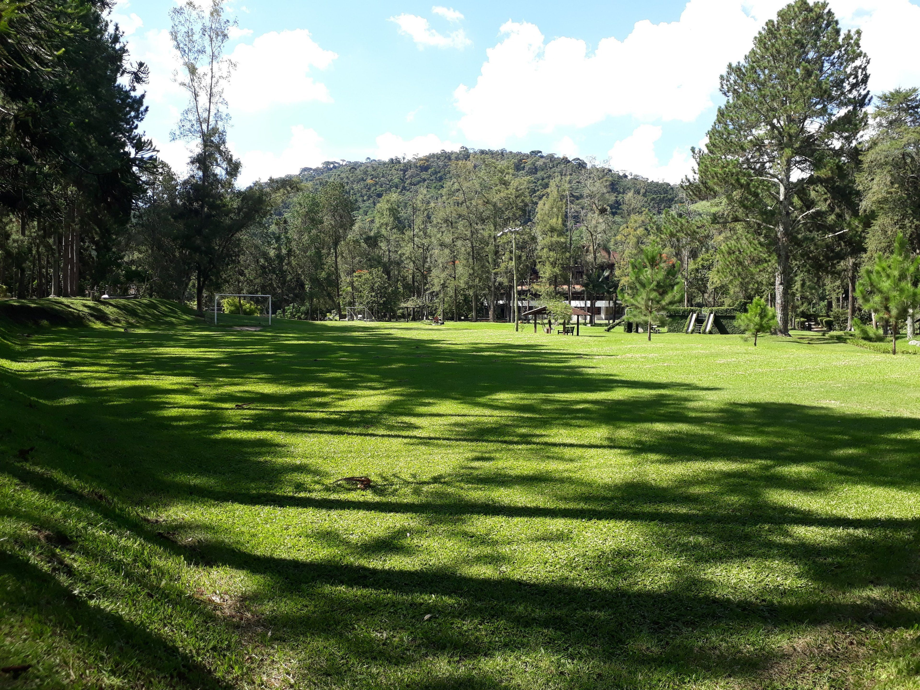 A grassy field with trees and a building in the background.