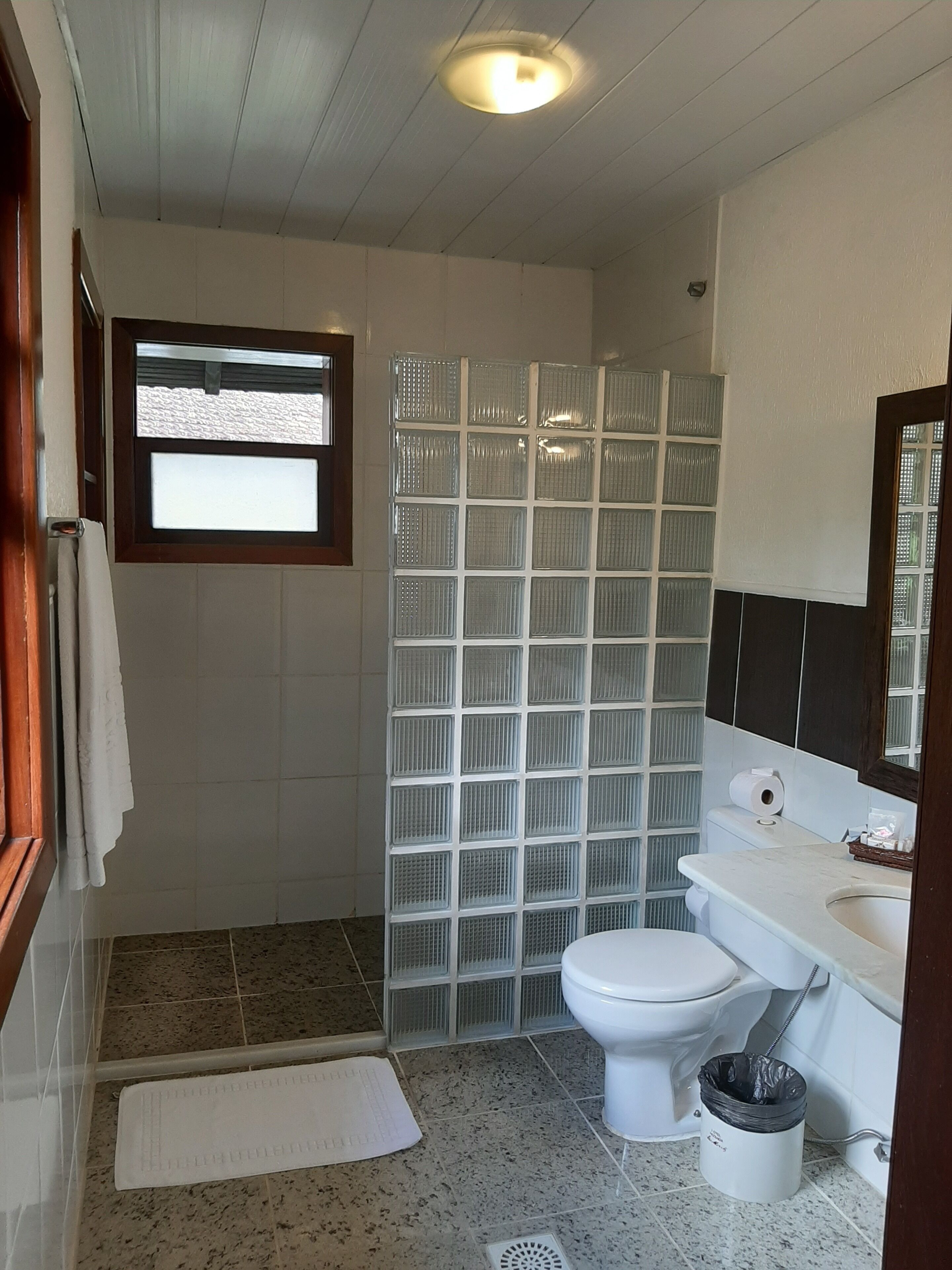 Une salle de bain comprenant des toilettes, un lavabo et un espace douche délimité par une porte en verre dépoli.
