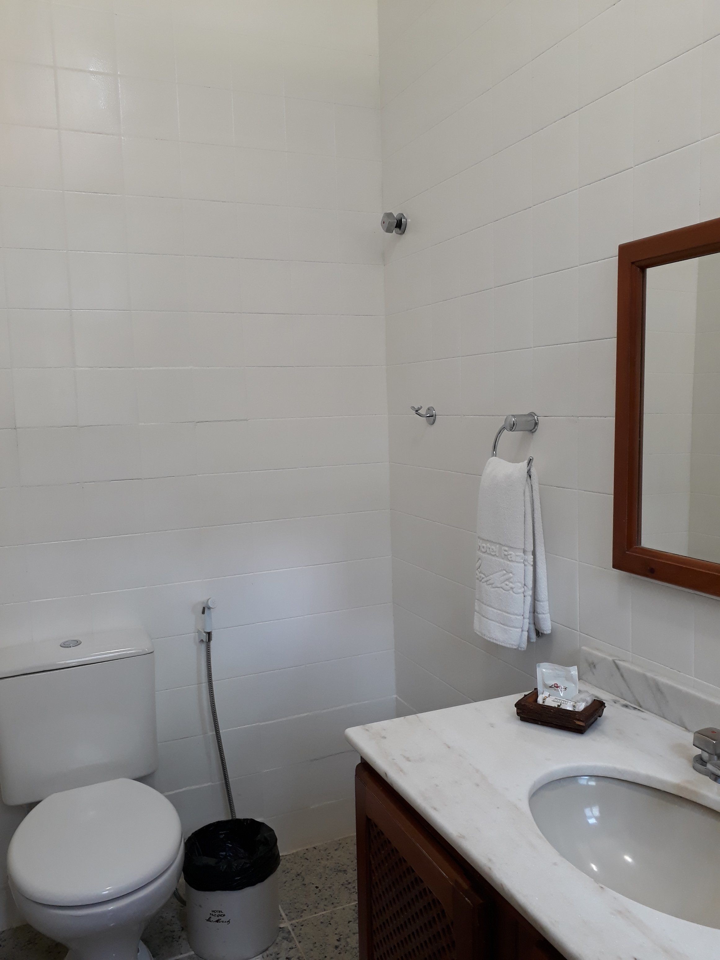 Baño con inodoro, lavamanos, espejo y perchero para toallas.