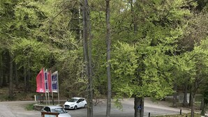 A paved pedestrian area with a stone border, a metal bench, and a wooden post. - Jagdschloss Windenhütte (Thale)