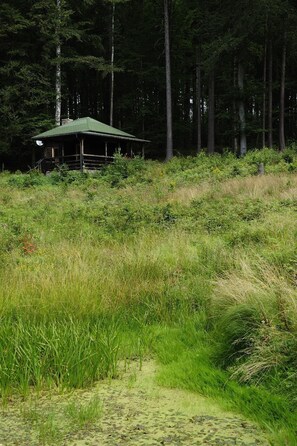 Hiking - Jagdschloss Windenhütte (Thale)