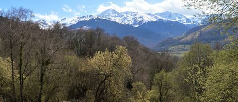 Vista desde la propiedad