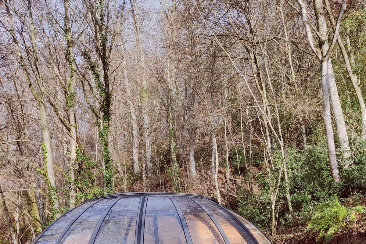 Une sorte de capsule en verre, dotée d’un jacuzzi, et entourée d’une zone boisée.