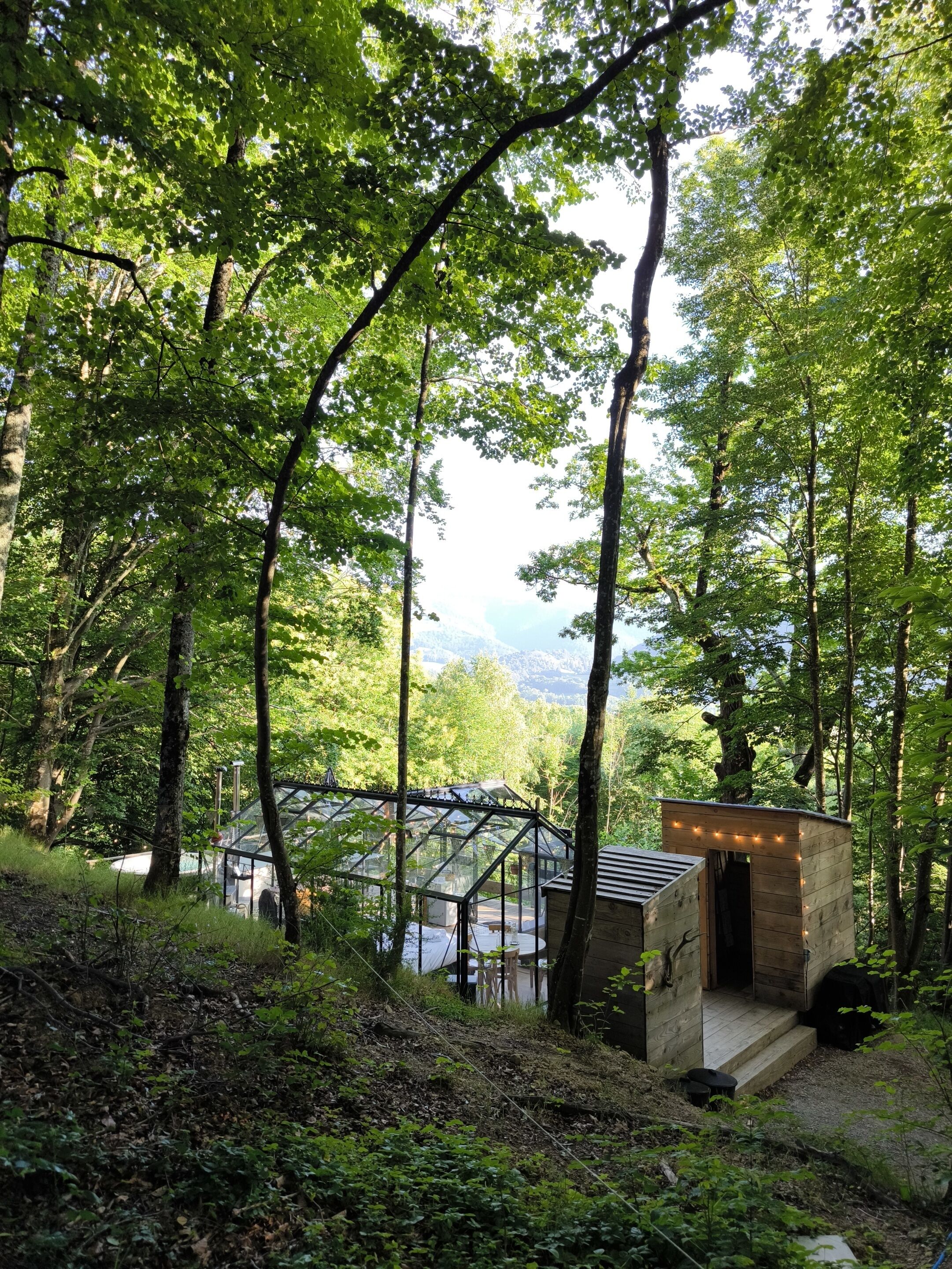 A glass-roofed cabin in a forest with a wooden structure nearby.