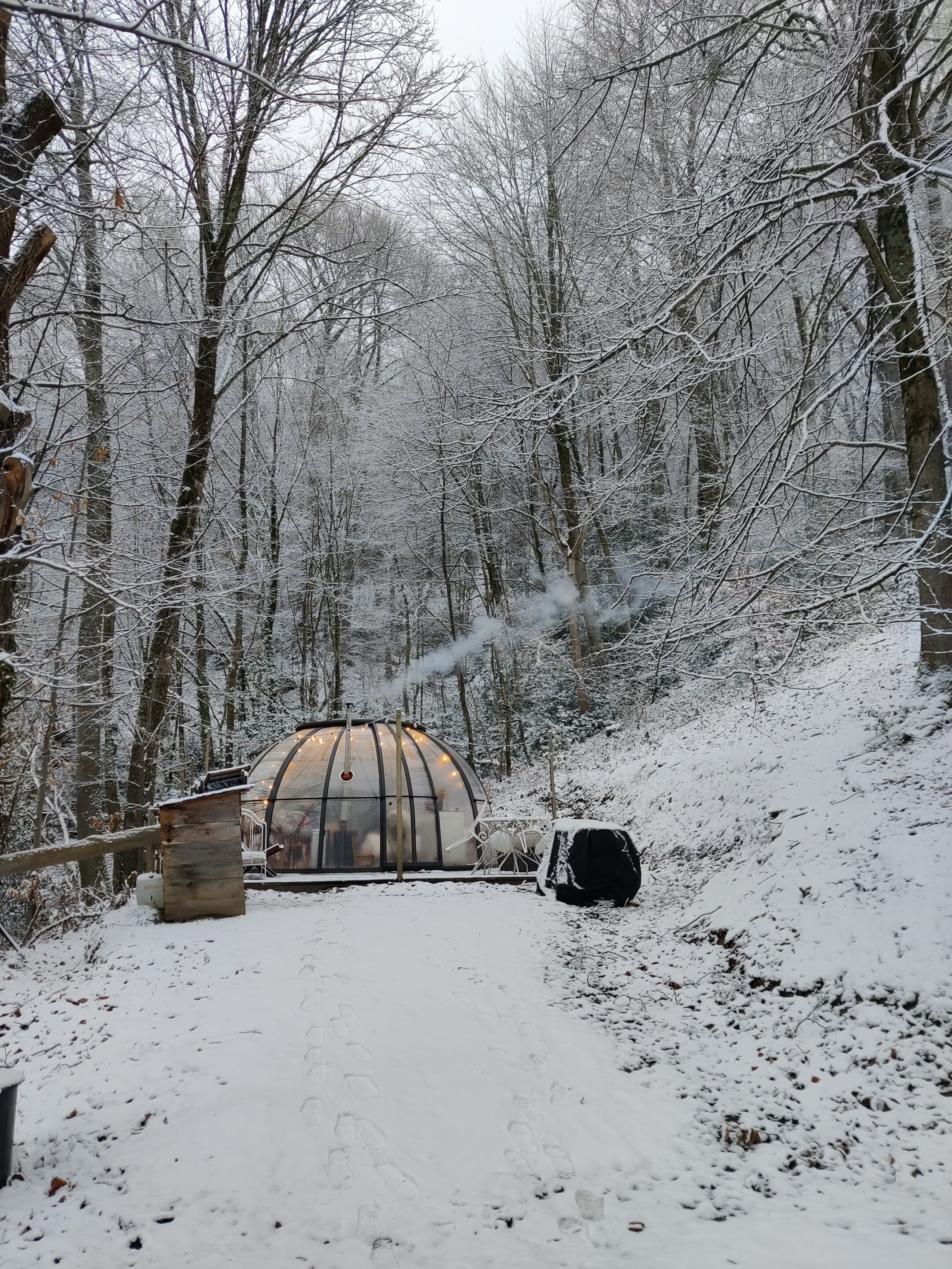 A snow-covered forest with a dome-shaped structure, possibly a yurt, and a small wooden building.