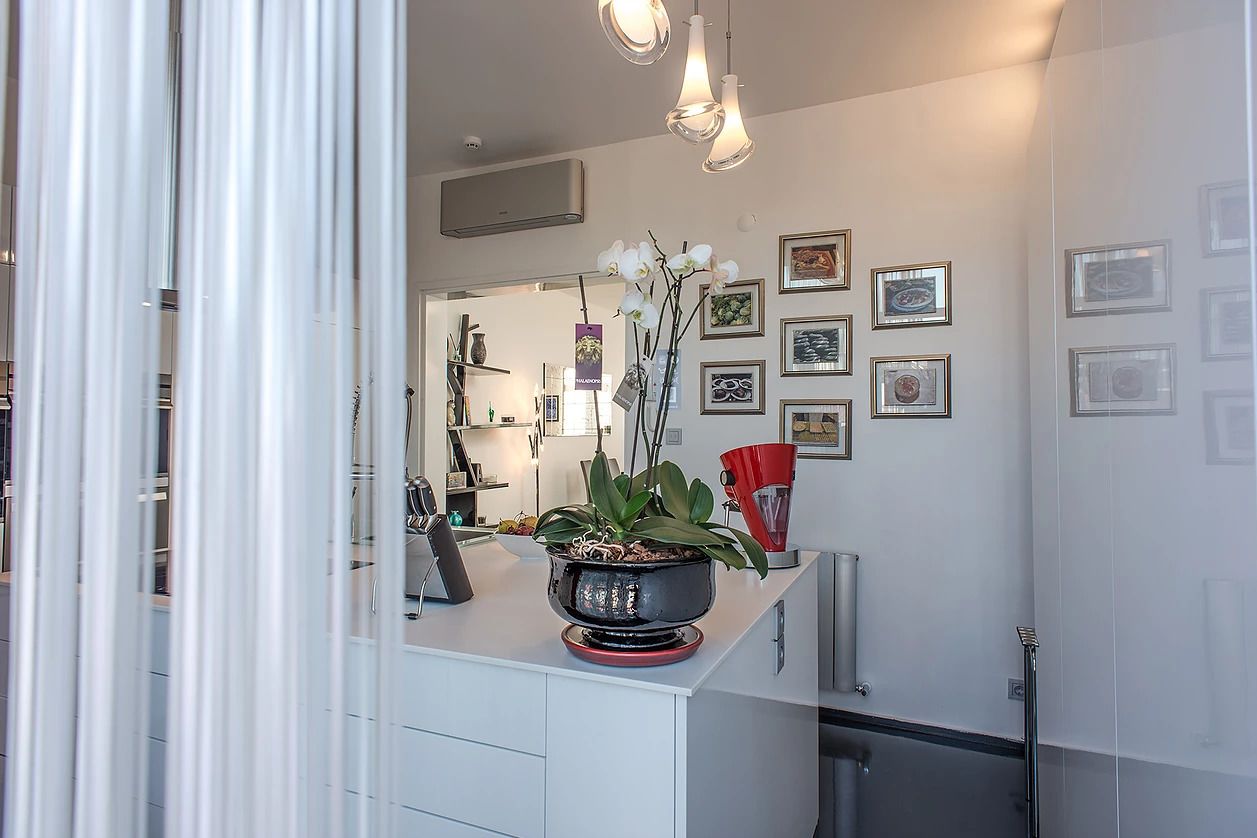 Apartamento Deluxe, vistas al mar | Cocina privada | Frigorífico, microondas, horno y placa de cocina