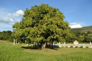 Ulkoalueet