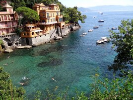 A coastal town with historic buildings, clear waters, and boats.