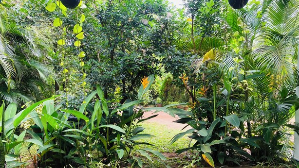 Living area - Fairview Dill homestay (Sigiriya)