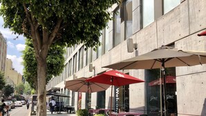 Un café al aire libre con mesas y sillas, un árbol y un edificio con amplios ventanales.