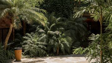 Jardin