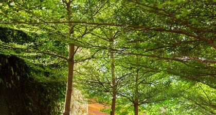 Pauli Boutique Hotel