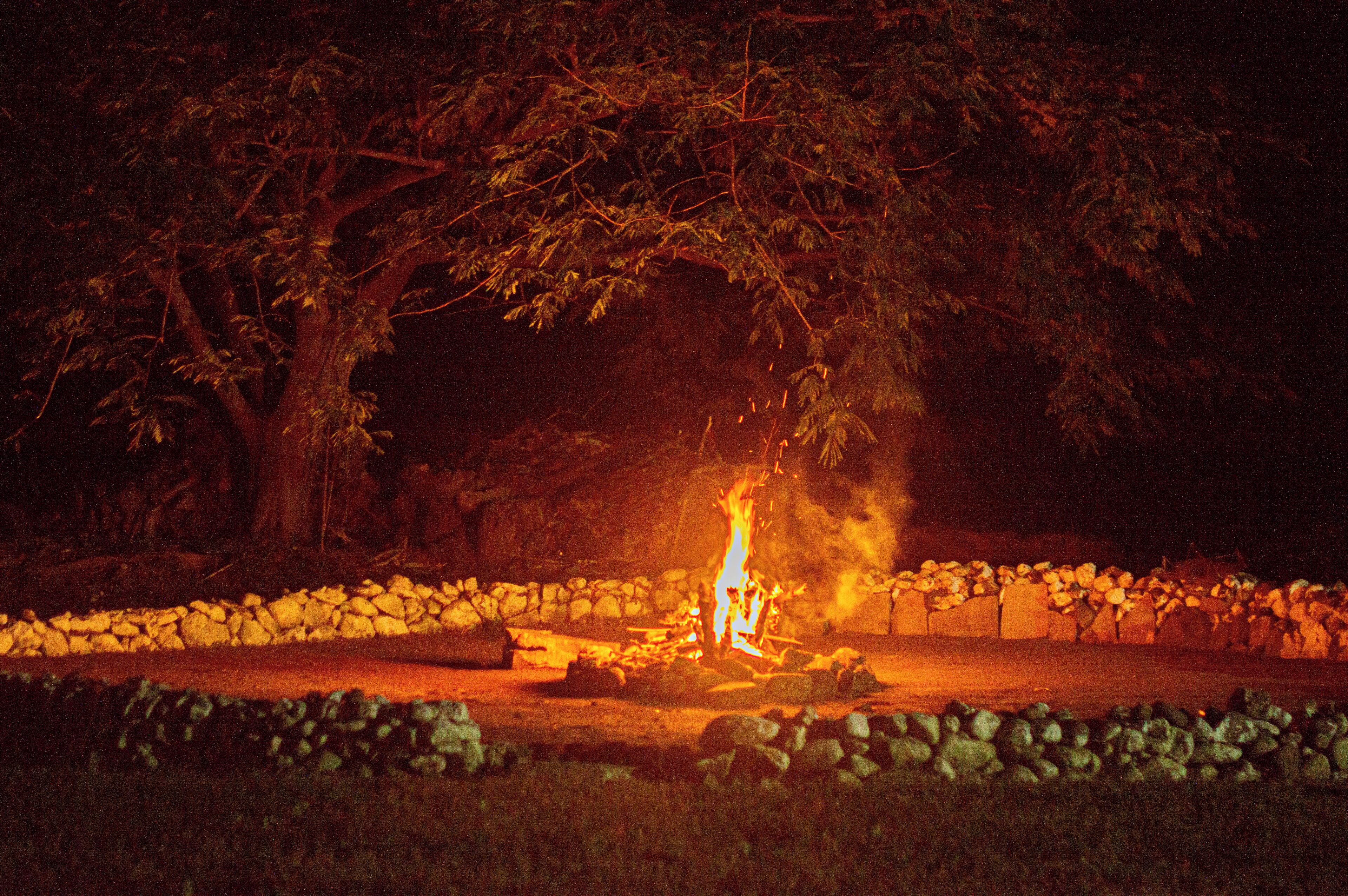 children’s activities