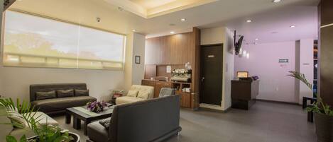 A modern living room with a sofa, coffee table, and potted plants.
