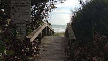 A wooden pathway leading to a beach with signs about sea turtle protection and no dogs allowed.