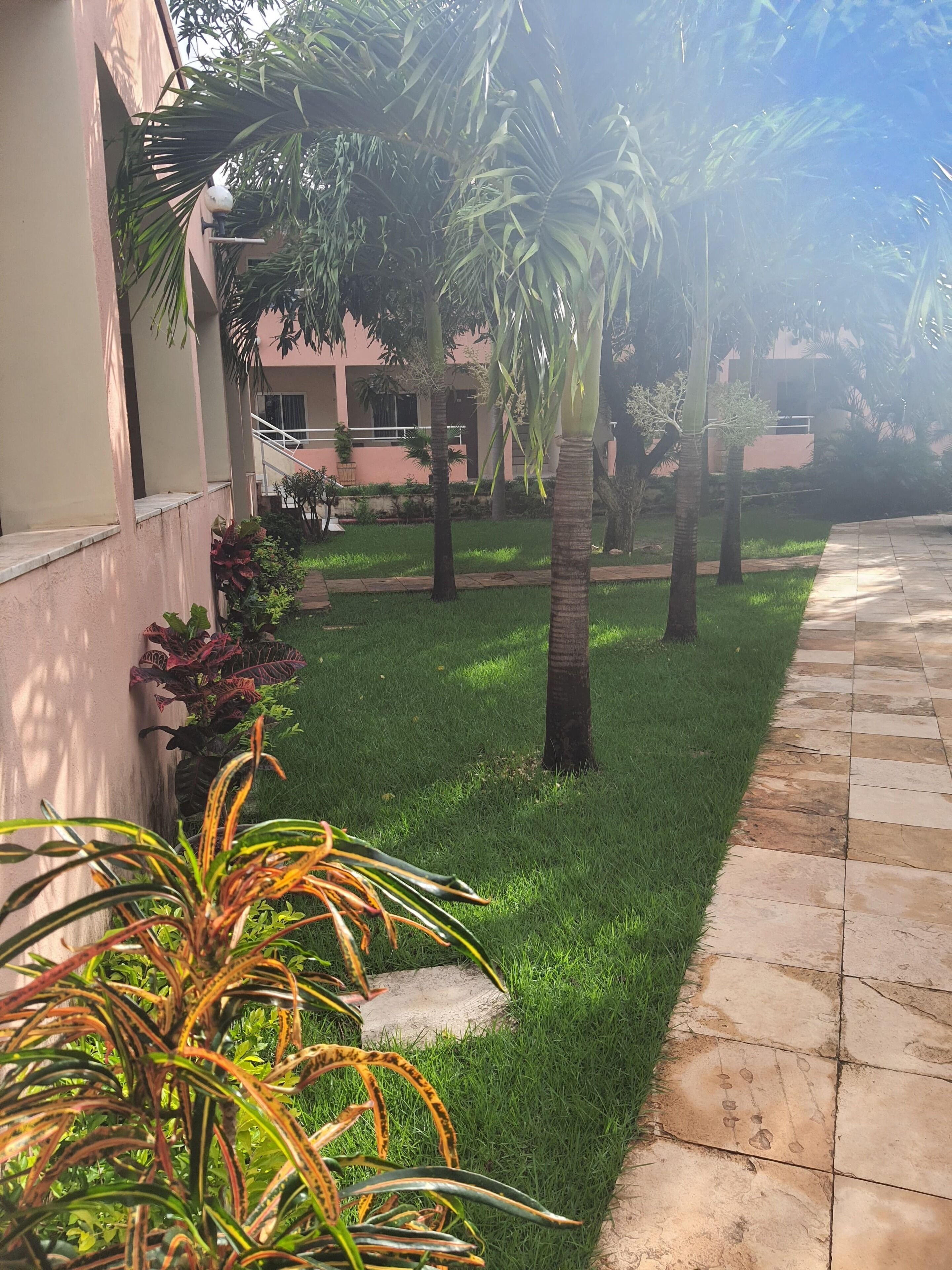 A well-maintained outdoor area with a paved walkway, green grass, and various plants including palm trees and flowering plants.